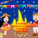 São João 2015